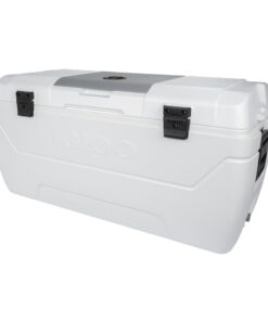 psigio igloo MAX COLD 165 (156L)