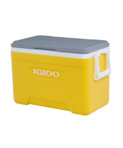 Alternative view of Ψυγείο Igloo Latitude 25