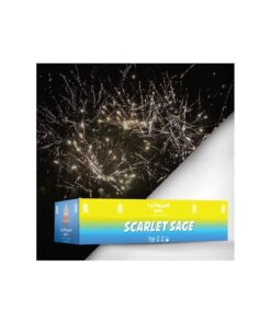 paketo-enaerion-pirotexnimaton-scarlet-sage-160-volon